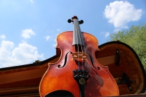 Violin.Up